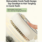 Steam Brush  Rechargeable Detangling Tool with Oil